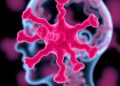 uOttawa Study Links Parkinson’s Gene to Potential Defenses Against Deadly Bacterial Infections