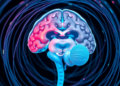 Inside the Lifesaving Tubes That Drain the Brain: How Imaging Keeps Shunts Alive