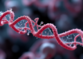 MicroRNA miR-196a Clears Toxic Huntington’s Protein Clumps by Suppressing Rad23b