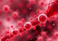 Red Blood Cell Membranes Rewire Endothelial Metabolism to Spark New Vessel Growth