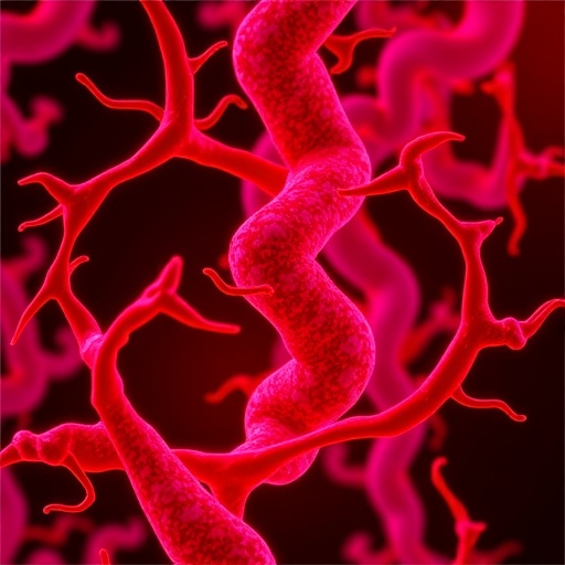 3′-Sialyllactose curbs atherosclerosis via gut-immune-cardiovascular axis in mice