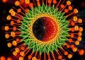 A Decade of Knowledge-Guided Machine Learning in Computer Vision