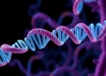 ABC Transporter Gene ABCG2 Emerges as a Dynamic Marker of Acute Pancreatitis Severity