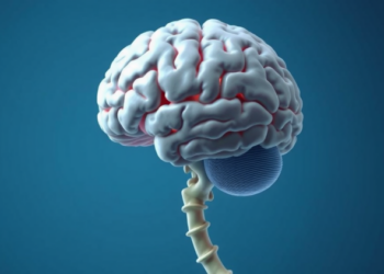 ACE2 Loss May Tie Parkinson’s Disease to Bone Loss Through Shared Brain and Bone Pathways