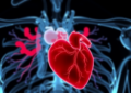 AI Can Spot Heart Disease, But a New Survey Warns Its Dazzling Accuracy May Be Too Good to Be True