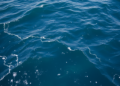 AI Is Quietly Rewriting How We Watch, Save and Manage the Ocean