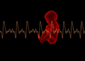 AI Listens to the Womb: Deep Learning Model Predicts Preterm Birth from Uterine Electrical Signals