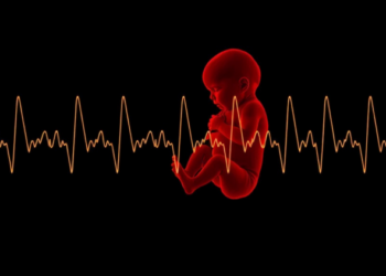 AI Listens to the Womb: Deep Learning Model Predicts Preterm Birth from Uterine Electrical Signals