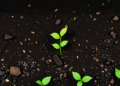 AI Model Predicts Biochar Soil Fertility With Unprecedented Accuracy