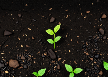 AI Model Predicts Biochar Soil Fertility With Unprecedented Accuracy