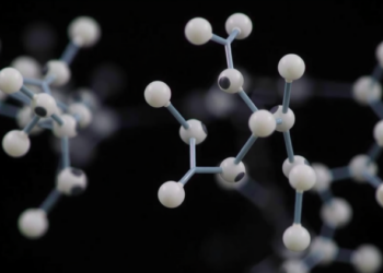 AI Predicts and Designs Bitter Peptides That Shape the Taste of Food