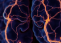 AI Translates Light Microscopy Into Electron-Microscope Detail to Speed Brain Mapping