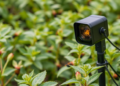 AI and Smart Sensors Are Rewriting the Rules of Crop Pest Detection