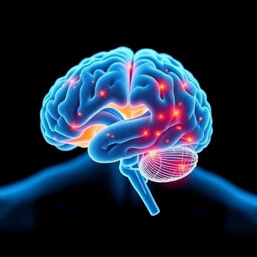Accelerated muscle aging alters resting-state brain connectivity in older adults