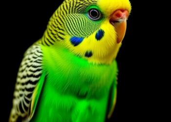 Adult Budgerigar Found With Leiomyosarcoma Spreading to Bone and Kidney