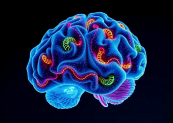 Alcohol Withdrawal Reshapes RNA Binding of PCBP1 in the Hippocampus