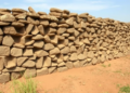Ancient Honeycomb Stone Walls Slash Erosion and Boost Sorghum Yields in Benin