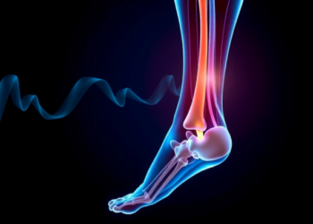 Ankle Nerve Signals Reveal Hidden Timing Errors in Unstable Ankles