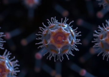 Antibiotic Stress Puts Probiotic Bacteria Into Hibernation, Boosting Their Survival