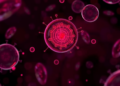 Antibody Fingerprint in Blood Reveals Why Plasma Proteomes Differ Between People