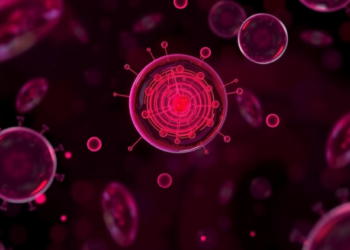 Antibody Fingerprint in Blood Reveals Why Plasma Proteomes Differ Between People