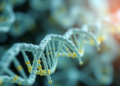 Aptamer-Guided CRISPR-Cas9 Delivery Could Make Cancer Genome Editing Precise