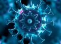 Arthropod-specific RNA virus discovered to boost host stress adaptation