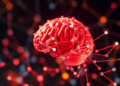 Artificial Neural Networks Evolve Brain-Like Modules When Learning Multiple Tasks