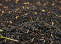 Biochar Emerges as a Selective Climate Tool for Mediterranean Agriculture