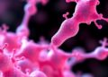 Biomaterials Break Physical Barriers to Boost Drug Delivery in Tumors