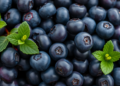 Blueberry Pan-Genome Reveals Hidden Diversity in Sugar-Tagging Enzyme Genes