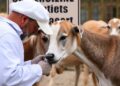Border veterinary quarantine: overlooked one health shield against zoonotic disease invasion