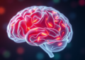 Brain’s Waste-Clearance System Emerges as New Alzheimer’s Treatment Frontier