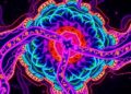 Breaking down LSD to unlock new therapeutic discoveries
