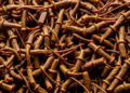 Brown Seaweed From Moroccan Coast Shows Striking Antidiabetic Power in Lab Tests