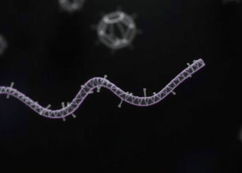 CRISPR and Nanopore Sequencing Reveal Hidden RNA Tags in E. coli
