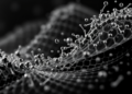 Carbon Fibers and Graphite Particles Supercharge Dissolving Magnesium Composites