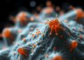Carbon Quantum Dots Show Promise Against Drug-Resistant Biofilms