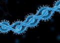 Cell Cycle Breakdown Drives Sudden Bursts of Aneuploidy in Yeast Genomes