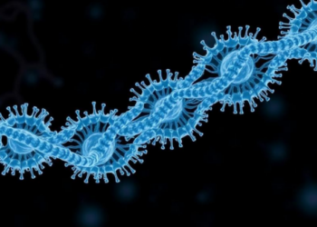 Cell Cycle Breakdown Drives Sudden Bursts of Aneuploidy in Yeast Genomes