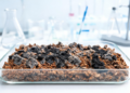 Cellulase production by Aspergillus niger using palm kernel cake in solid state fermentation