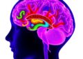Cerebrospinal fluid metabolomics reveals immune signatures for pediatric Lyme neuroborreliosis diagnosis