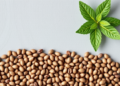 Chia Seeds Show Potent Enzyme-Blocking Power That Depends on Where They Grow