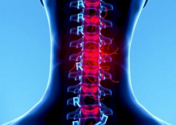 Chinese Herb Compound Tetramethylpyrazine May Rewire Damage Response After Spinal Cord Injury
