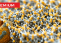 Chloride Trick Yields Ultrathin Intermetallic and High-Entropy Alloy Crystals