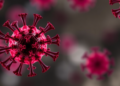 Chromatin Regulator ANKRD11 Emerges as Switch That Reinvigorates Exhausted T Cells