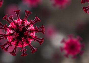 Chromatin Regulator ANKRD11 Emerges as Switch That Reinvigorates Exhausted T Cells