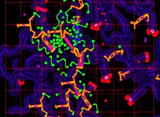 Chromatin hub mapping reveals Id proteins drive exhausted CD8+ T cell fate