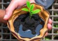 Cocoa-shell biochar with ZIF-8 removes loratadine from water