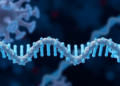 Cohesin Builds Molecular Fences That Keep Active Genome Domains From Mixing